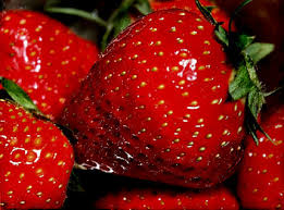 Enfin, si on peut appeler �fraises ...