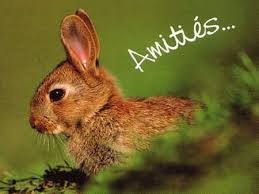... fr/carterie24/Amities/amities01.