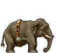 Elephant Gifs