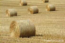 07_15_16---Round-Hay-Bales_web.jpg