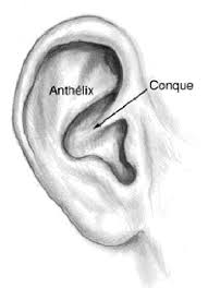 Un examen attentif des oreilles aura ...