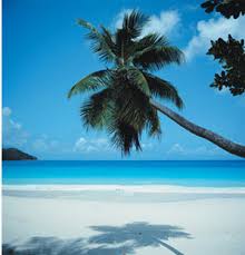 Faites une pause au soleil !